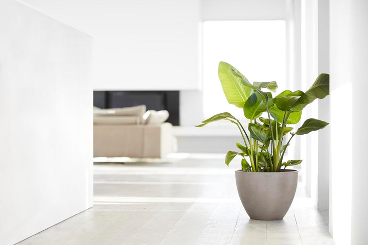 ECOPOTS Blumentopf Antwerp Braun Grau - Durchmesser Ø 40 cm rund gross - Pflanzentopf aus Recycling