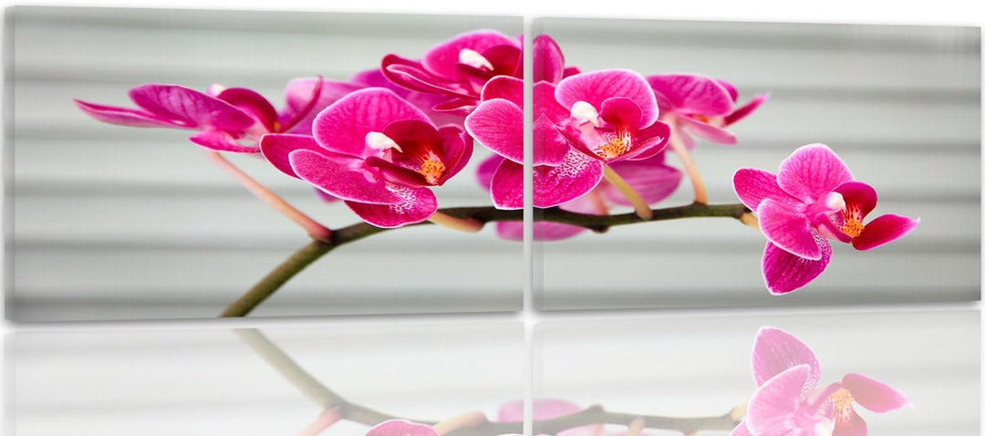 Feeby. Leinwandbild, Bilder, Wand Bild - 2 Teile - Panoramabild, Wandbilder, Kunstdruck 120x40 cm, O