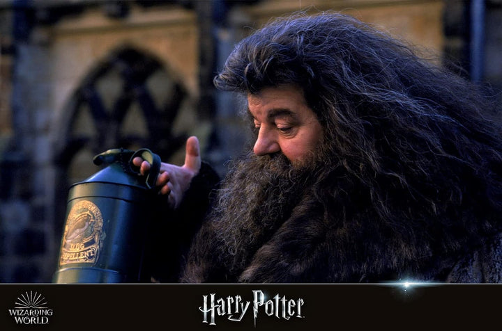 Wizarding World 10-Film Collection [Blu-ray], Blu-ray