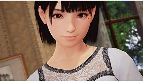 NAMCO Sommerunterricht: Allison Snow & Chisato Shinj (Import)