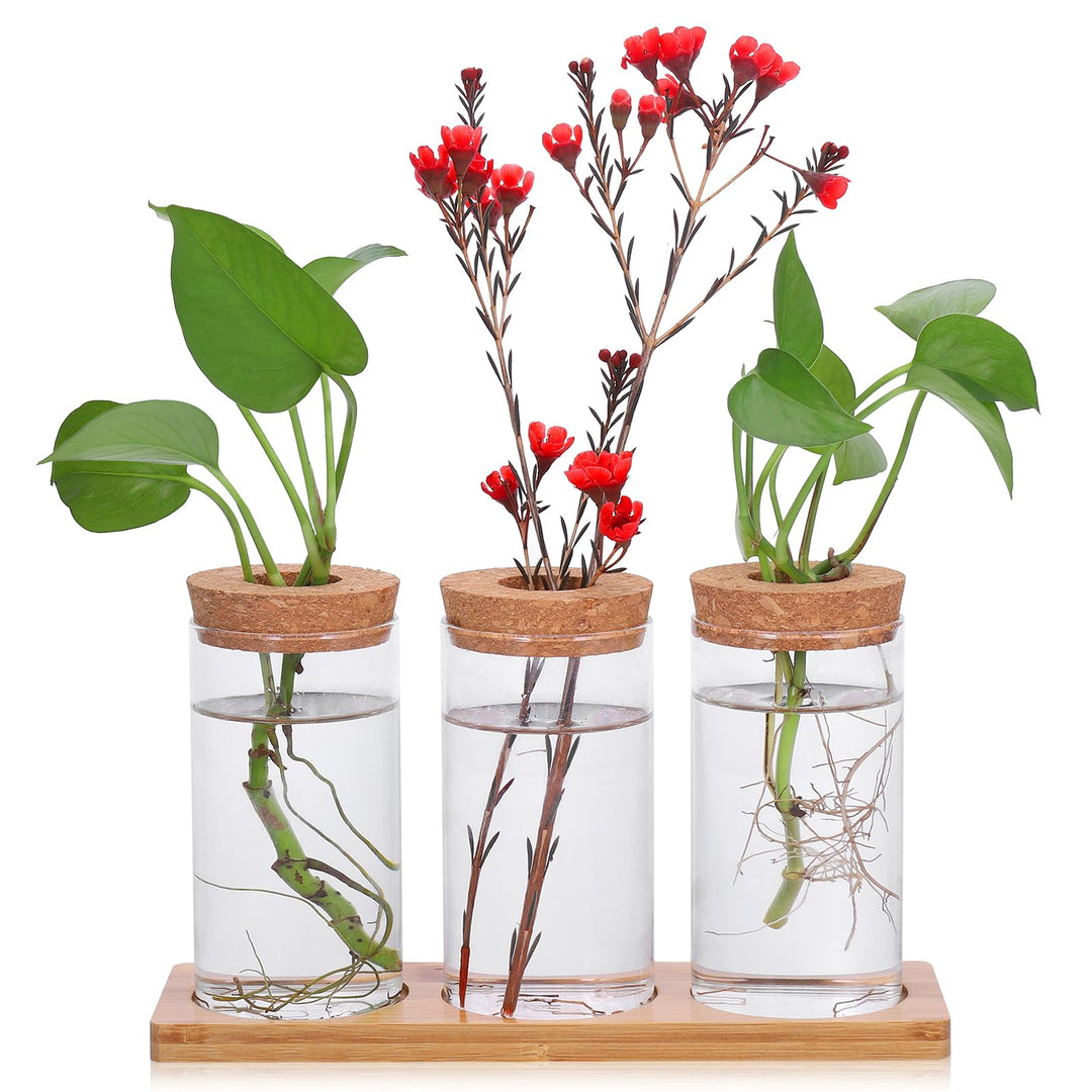 Fentar Ableger Pflanzen Glas, Propagation Station mit Holzsockel und Stecker, 3Stk Kleine Vasen für