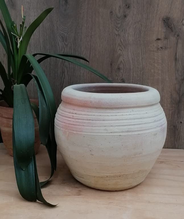 2. Wahl - Blumentopf 31cm Bauchdurchmesser, echt Terracotta Terrakotta Garten Deko Blumenkübel Pflan