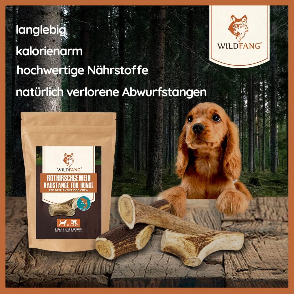 Wildfang® Rothirsch Geweih mit Lachsöl für Hunde I Natürlicher Hunde Kauknochen - Zahnpflege - Kaumu