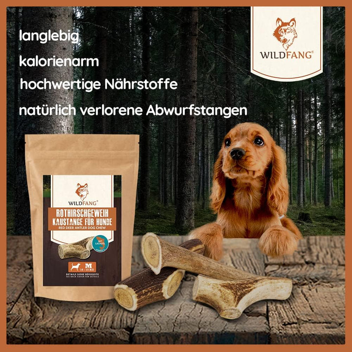 Geweihe für Hunde, Kaustangen Hund, Kauspielzeug Hund, Hunde Kauartikel - Salmon Hirschgeweih für Hu