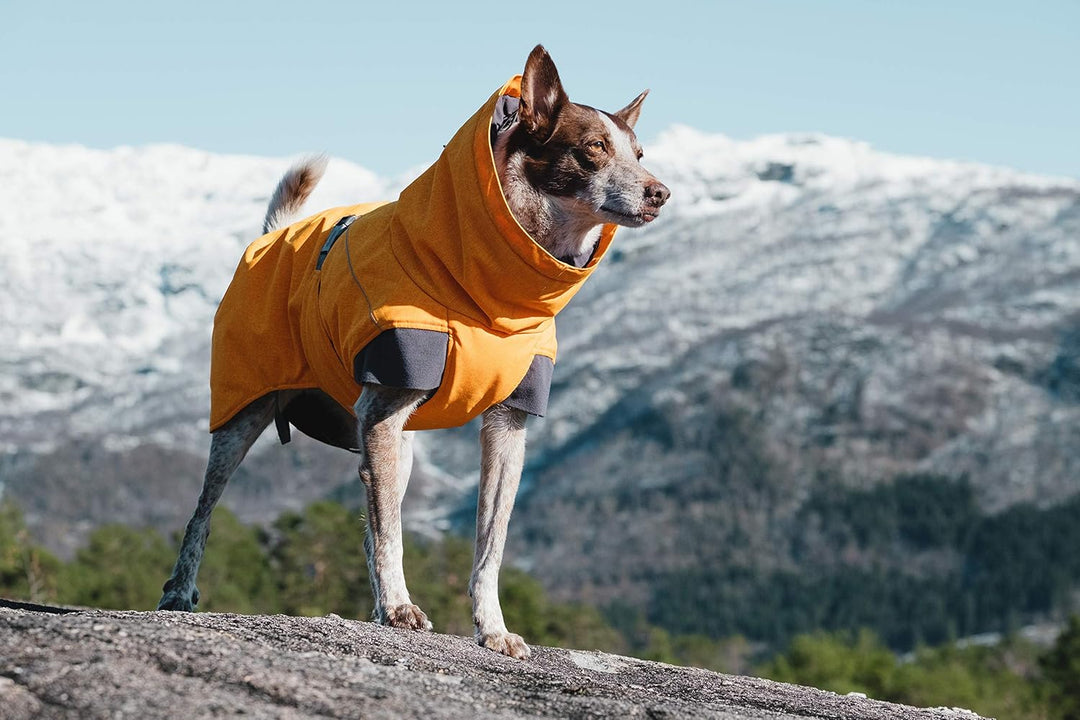 Hurtta Expedition Parka Wintermantel für kleine Hunde, Hundemantel Sanddorn, orange 30XL Sanddorn 30