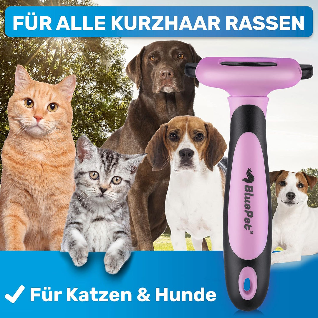 BluePet Katzenbürste & Hundebürste Kurzhaar zum Entfernen von losem Fell & Unterwolle I Bis zu 90% w