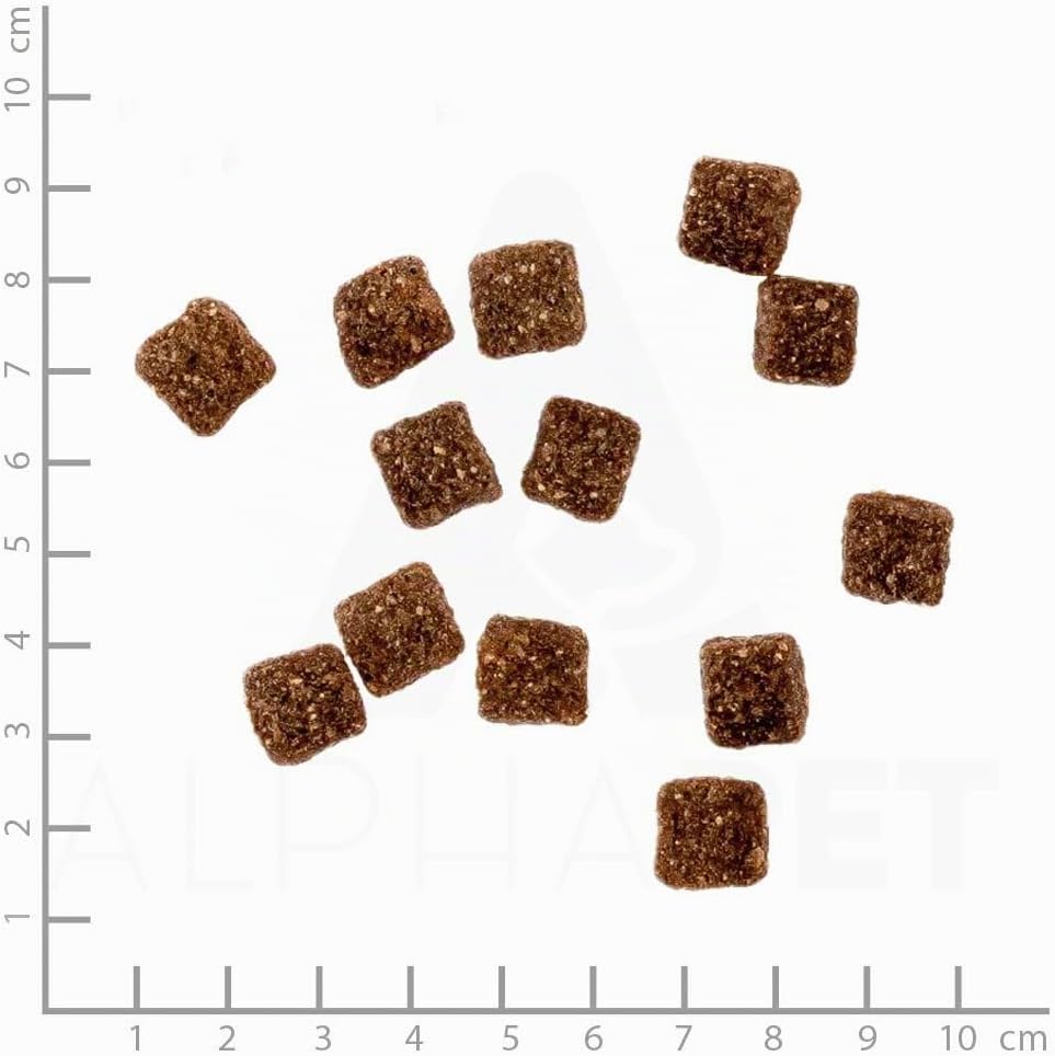 Soft Adult | Halbfeuchtes Hundefutter mit 70% frischem Fleisch für ausgewachsene Hunde. Getreidefrei