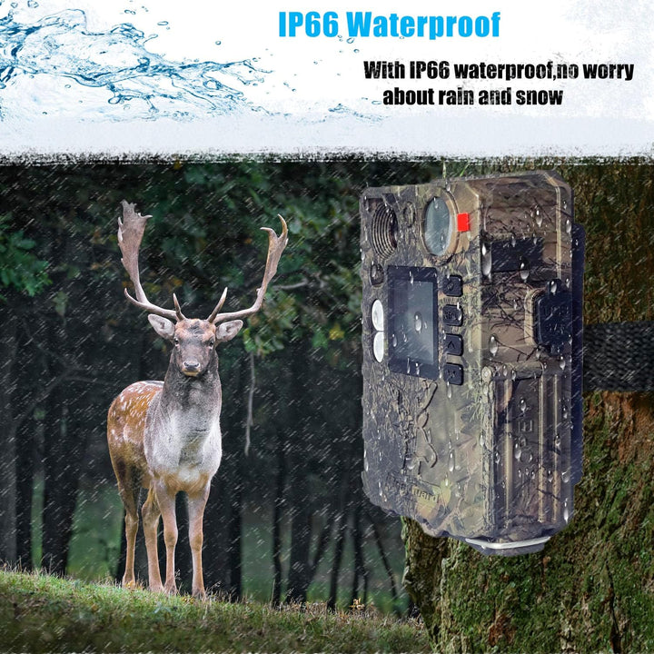 BolyGuard 4G Trail Cam 36MP 2,7K Wildkamera Wildkameras mit Nachtsicht, bewegungsaktiviert, wasserdi