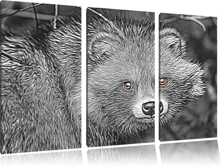 scheuer Waschbär schwarz/weiss Deluxe 3-Teiler Leinwandbild 120x80 Bild auf Leinwand, XXL riesige Bi