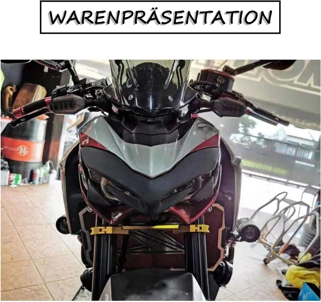 PSLER® Motorrad Frontverkleidung Nasenabdeckung für Kawasaki Z900 2017-2019 (Schwarz), Schwarz