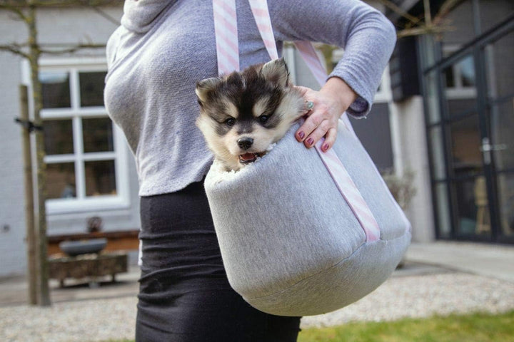 Designed by Lotte Beeztees Tragetasche für Welpen, 45 x 24 x 26 cm, Grau