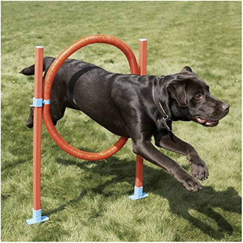 Rosewood 02494 Agility-Tunnel für Hunde