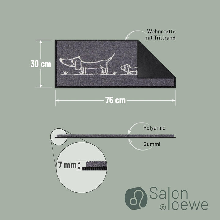 Salonloewe Minimatte Hereingedackelt 030x075 cm Fussabtreter Sauberlaufmatte draussen Fussmatte Indo