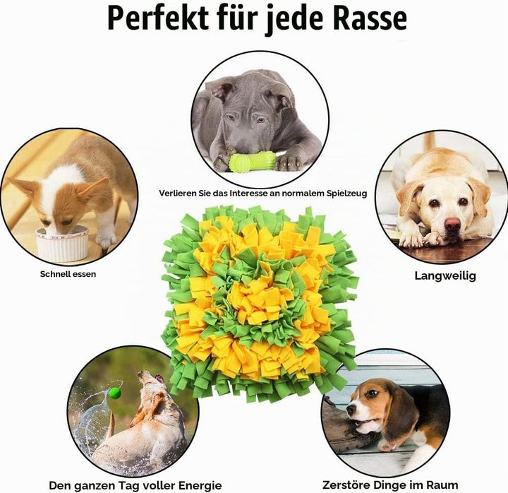 IEUUMLER Schnüffelteppich Hund Riechen Trainieren Schnüffeldecke Futtermatte Trainingsmatte für Haus