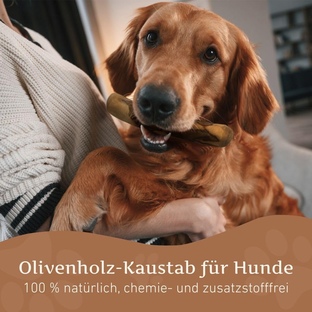 Wildfang® Olivenholz Kauholz für Hunde | Holzknochen Olivenholz | natürliches Kauspielzeug aus Olive