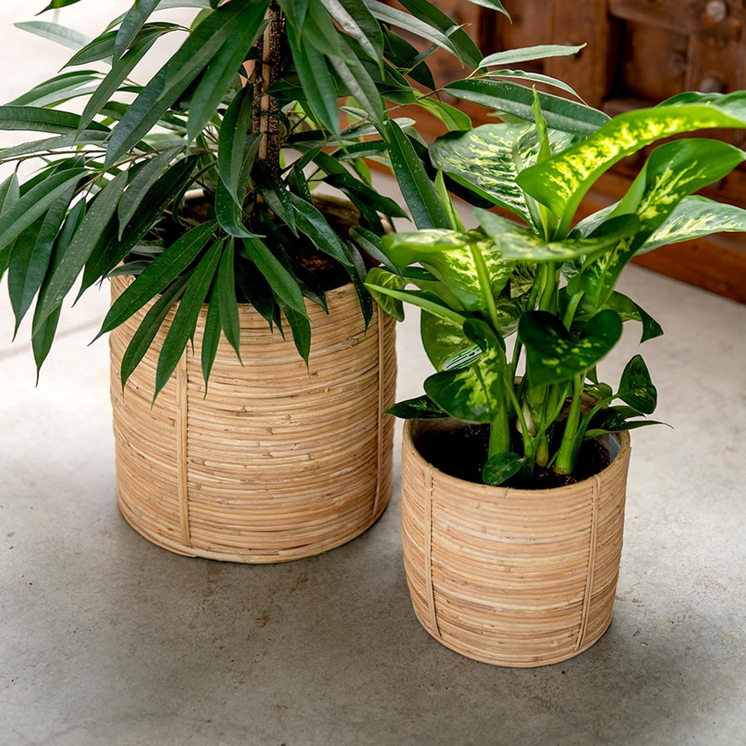 DARO DEKO Rattan Korb Topf Ø 31 x 31cm rund Blumentopf geflochten Aufbewahrungskorb Übertopf Blumenk