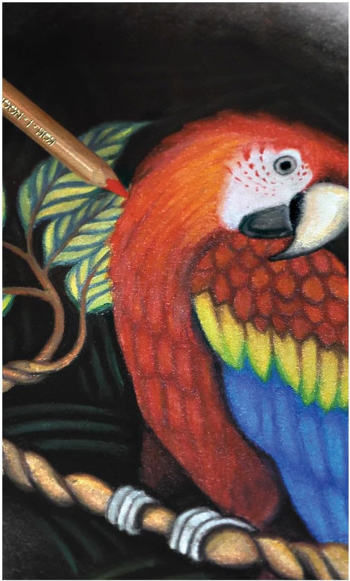 KOH-I-NOOR Polycolor Künstler-Farbstifte (72 Stück)