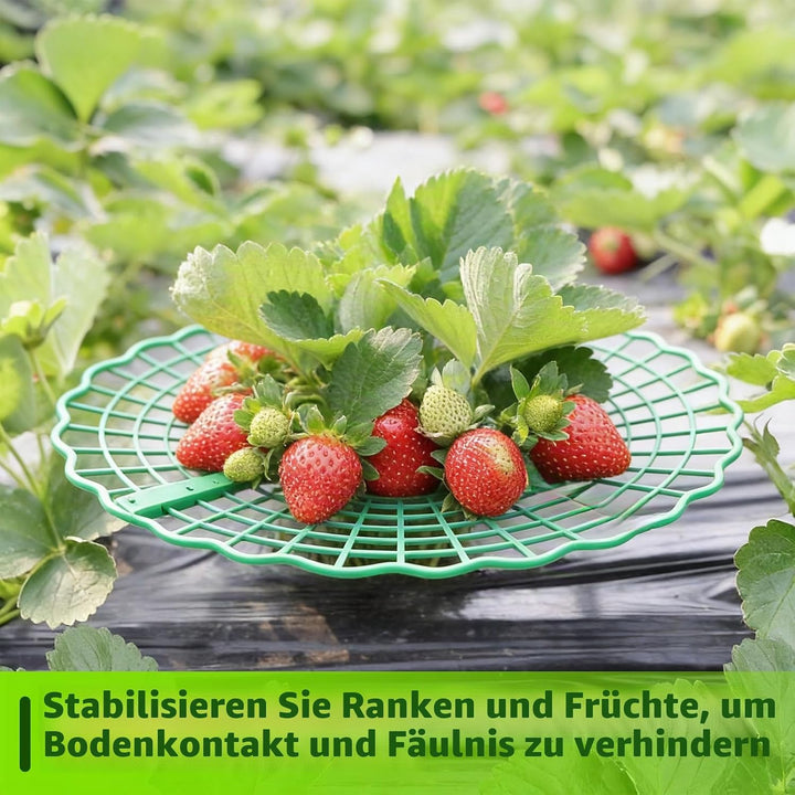 20 Stück Erdbeerstützen ständer, Runder Erdbeerständer, Erdbeeren Anbau Stützgestell, Abnehmbares Er