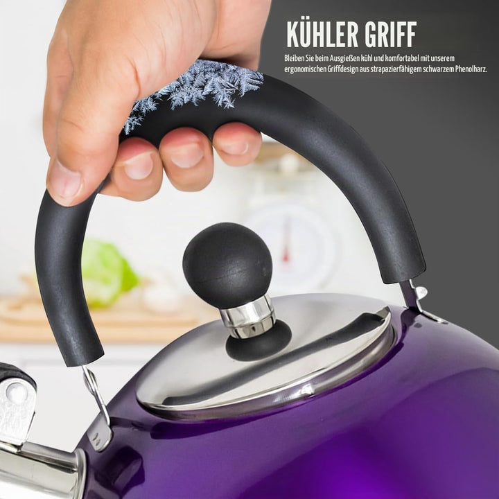 Leichter Wasserkessel mit Pfeiffe aus rostfreiem Edelstahl, Wasserkocher für Camping und Angeln, 2,5