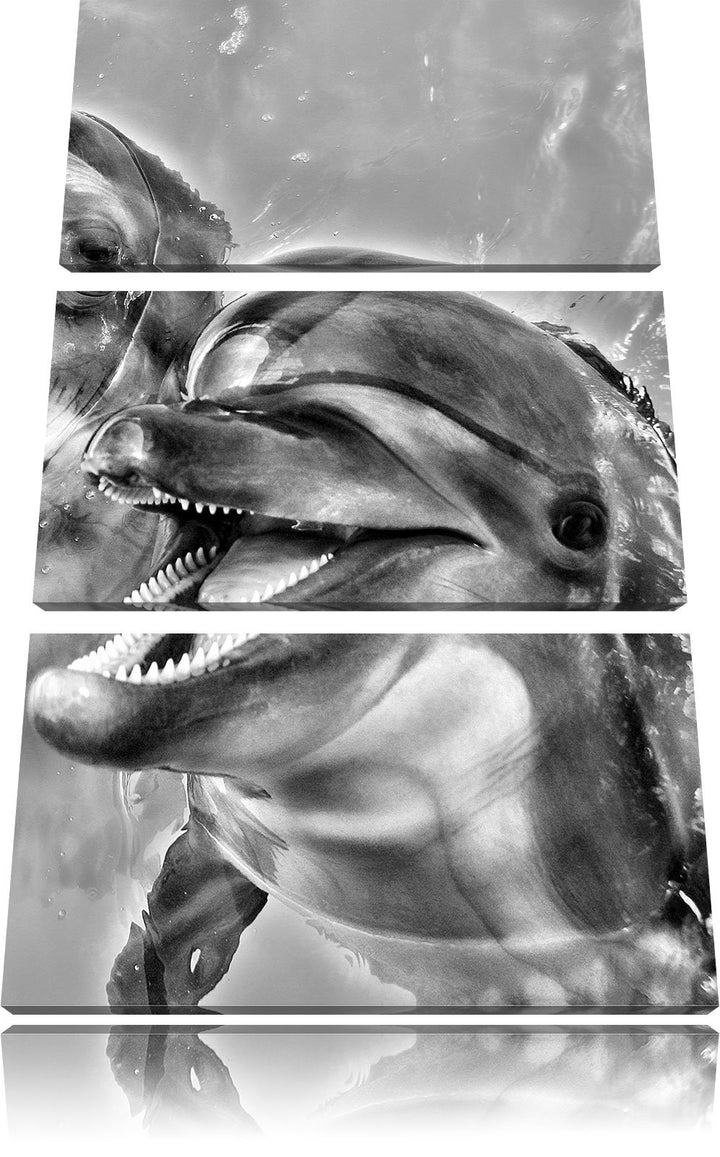 Pixxprint Delfin Paar im Wasser als Leinwandbild/Grösse: 3 Teilig (120x80) / Wandbild/Kunstdruck/fer