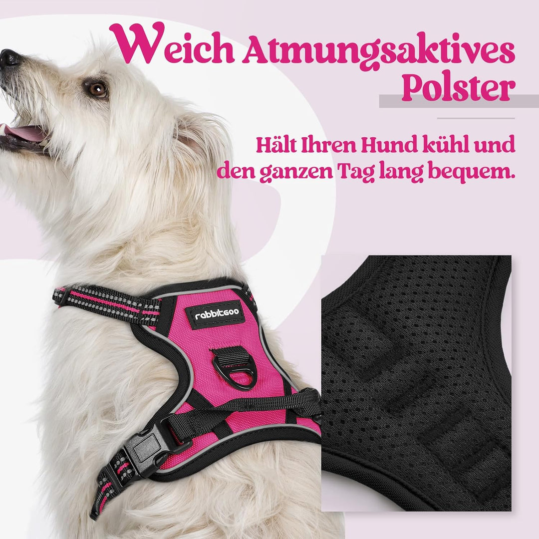 rabbitgoo Hundegeschirr Kleine Hunde, Anti Zug Geschirr mit Kontrolle, No Pull Verstellbar Hundegesc
