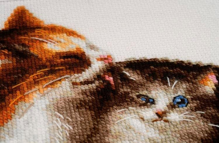 Riolis 1811 Katze mit Kätzchen, Zählmuster Kreuzstich-Set, Baumwolle, mehrfarbig, 3024cm