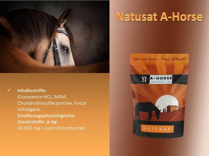 Natusat A-Horse 2100 g | mit Glucosamin, MSM, Chondroitin und L-Lysin | Für Pferdegelenke