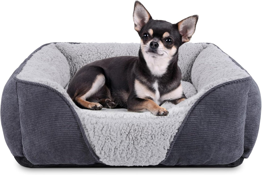 JOEJOY Hundebett Kleine Hunde Hundekorb Waschbar - Flauschig Hundekorb, rutschfest Hundebetten Hunde