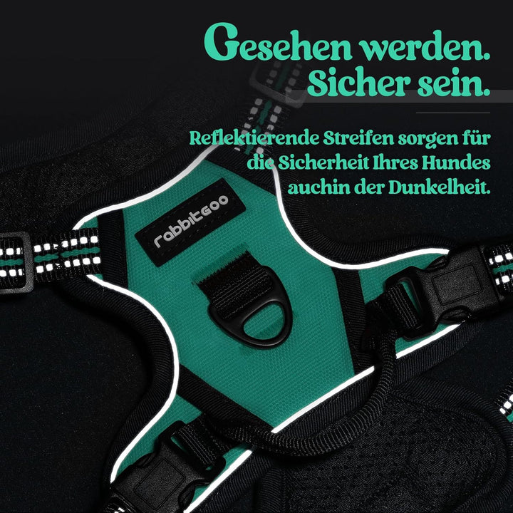 rabbitgoo Hundegeschirr Kleine Hunde, Anti Zug Geschirr mit Kontrolle, No Pull Verstellbar Hundegesc