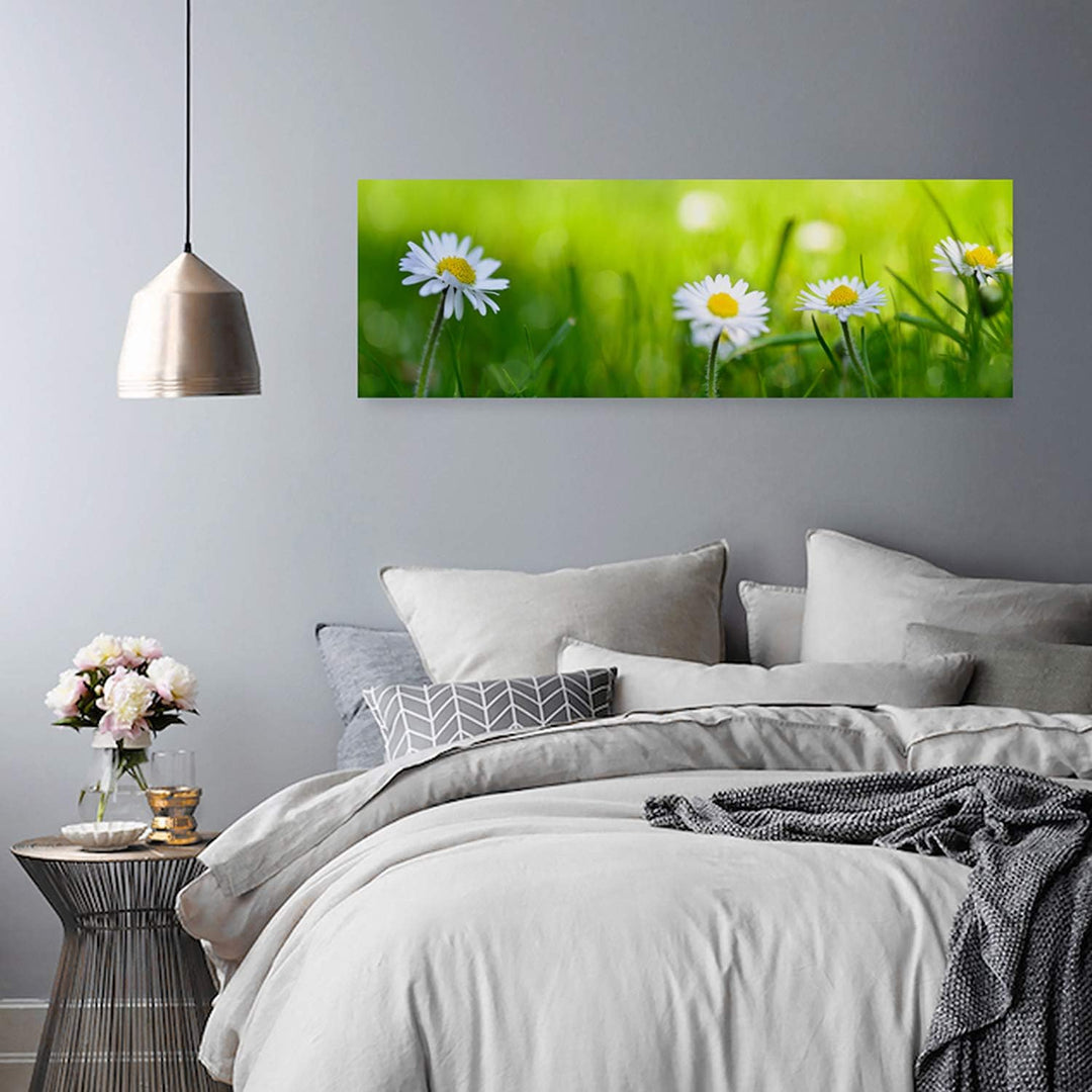 Feeby. Leinwandbild, Bilder, Wand Bild, Wandbilder, Kunstdruck 150x50 cm, GÄNSEBLÜMCHEN, NATUR, GRÜN