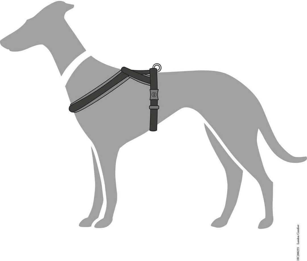 Hunter Hundegeschirr London Comfort, atmungsaktives 3D-Mesh, 2-Fach verstellbar, Sicherheitsverschlu