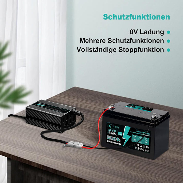 LiFePO4 Ladegerät 12V 20A, Batterie Ladegerät Kompatibel mit Anderson Anschluss Entwickelt für das L