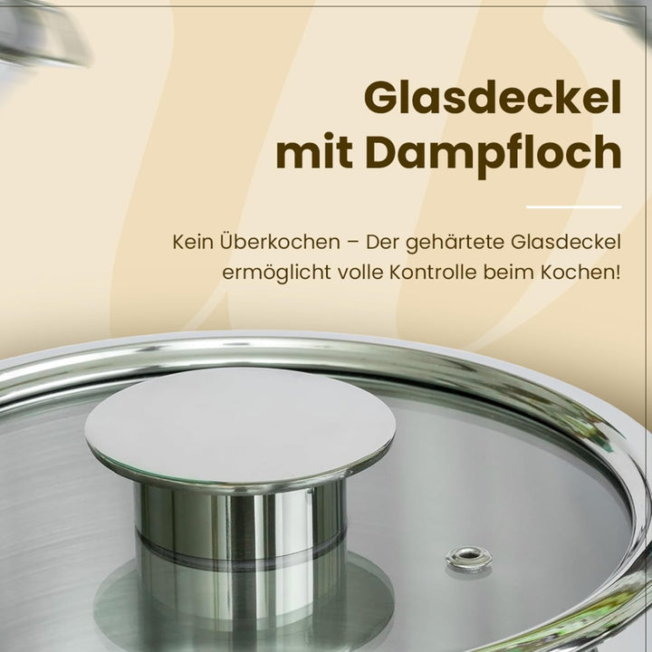 GRANA HOME Induktions Kochtopf aus 100% Edelstahl mit Deckel aus Glas mit Dampfloch, Bratentopf für