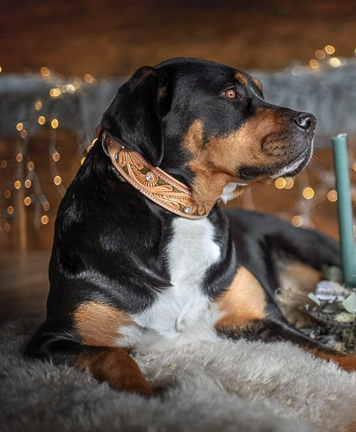 MICHUR GoldenEye Hundehalsband Leder, Lederhalsband Hund, Halsband, Leder, BEIGE, Caramel, Braun, Go