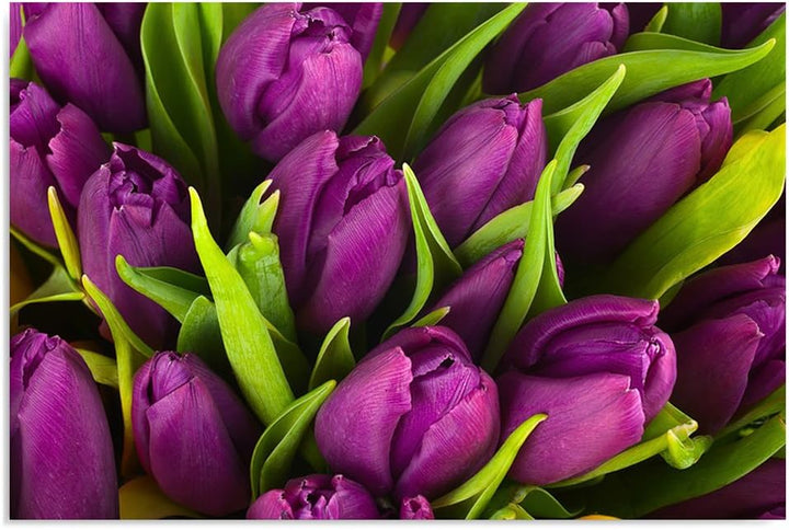 Feeby Bilder Blumen Tulpen XXL 120x80 cm Wohnzimmer Schlafzimmer Büro Flur Küche Wandbilder Modern B