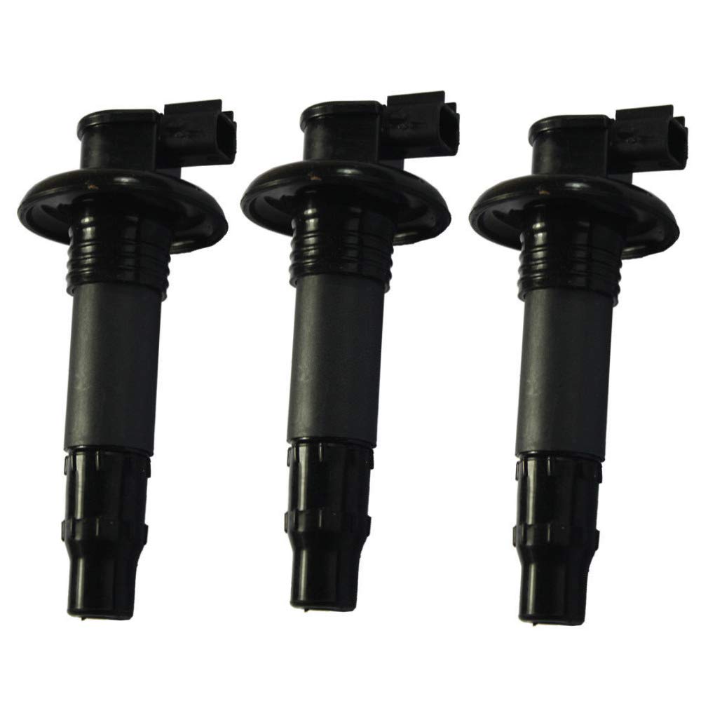 Zündspulen 420664020 296000307 Set für Motorrad Roller GTX RXT RXP GTS Wake 4-TEC-4TEC