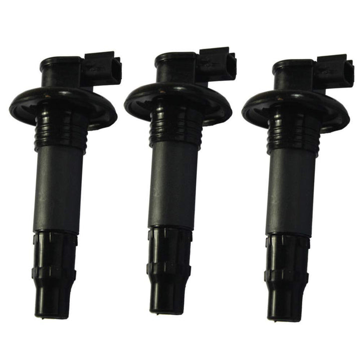 Zündspulen 420664020 296000307 Set für Motorrad Roller GTX RXT RXP GTS Wake 4-TEC-4TEC
