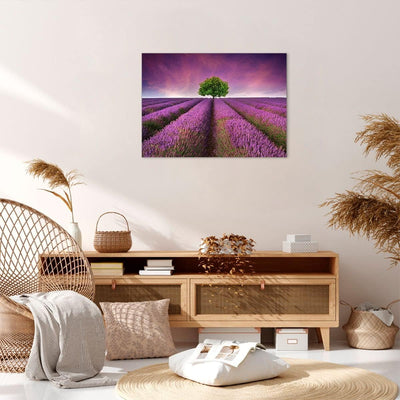 Bilder auf Leinwand Wiese lavenda Sommer Landschaft Leinwandbild 70x50cm Wandbilder Dekoration Wohnz