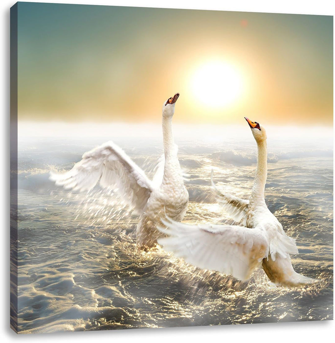 Pixxprint anmutige Schwäne Spritzen in den Wellen des Meeres, Format: 70x70 auf Leinwand, 70x70