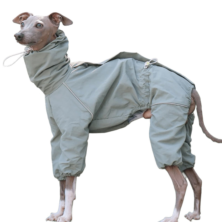 Italienische Greyhound wasserdichte Jacke, Winddichte Hundemantel Jumpsuit Mit Reissverschluss Leich