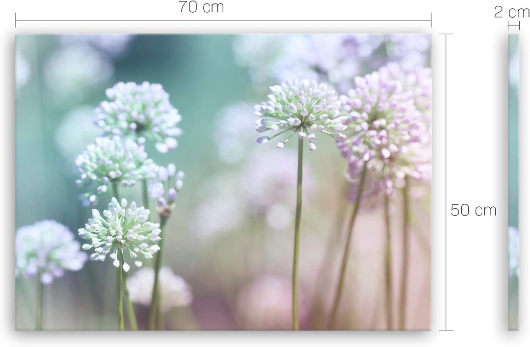 ge Bildet Bild auf Leinwand | Flowering Onion in 70x50 cm als Wandbild | Wand-deko Dekoration Wohnun