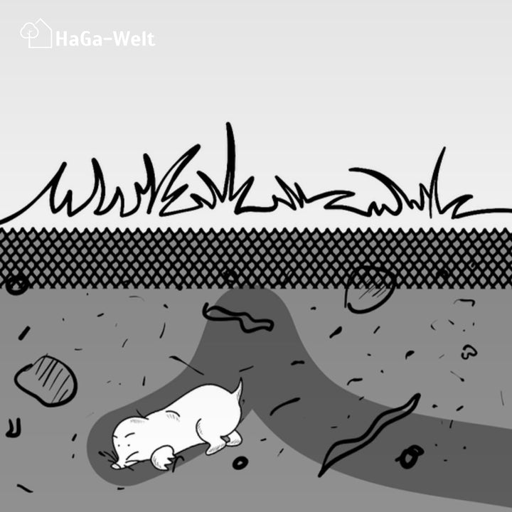 Haga Maulwurfnetz - Maulwurfschutz - gegen Maulwurfshügel - Rasenschutz für den Garten - aus Kunstst