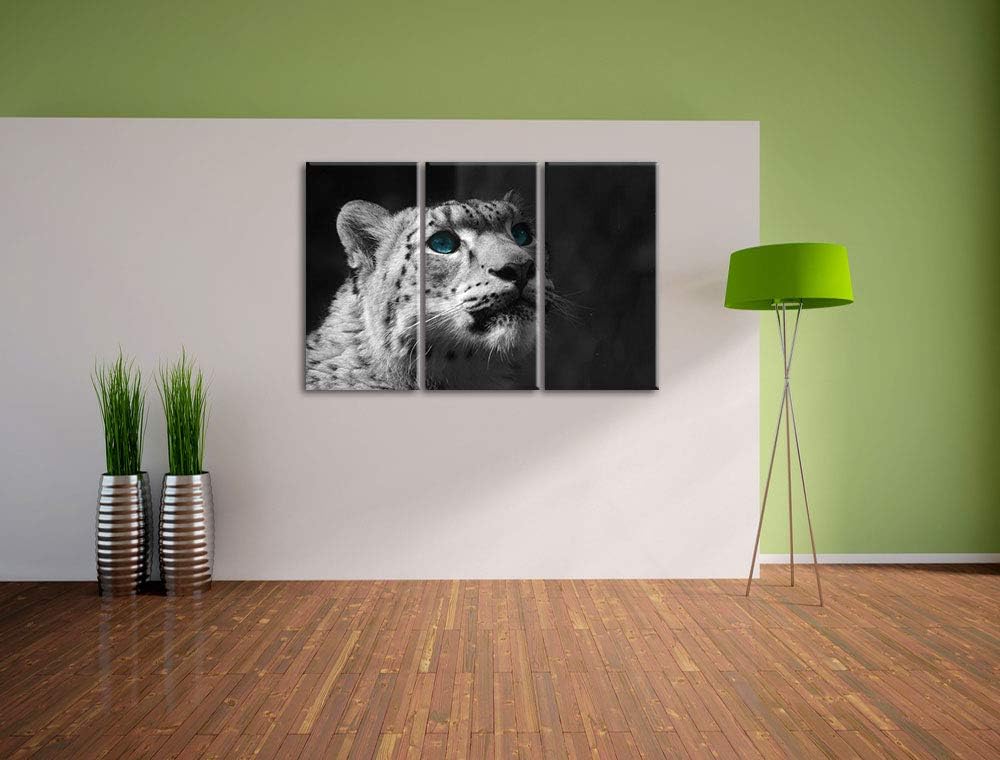 Anmutiger Schneeleopard Blaue Augen schwarz/weiss 3-Teiler Leinwandbild 120x80 Bild auf Leinwand, XX
