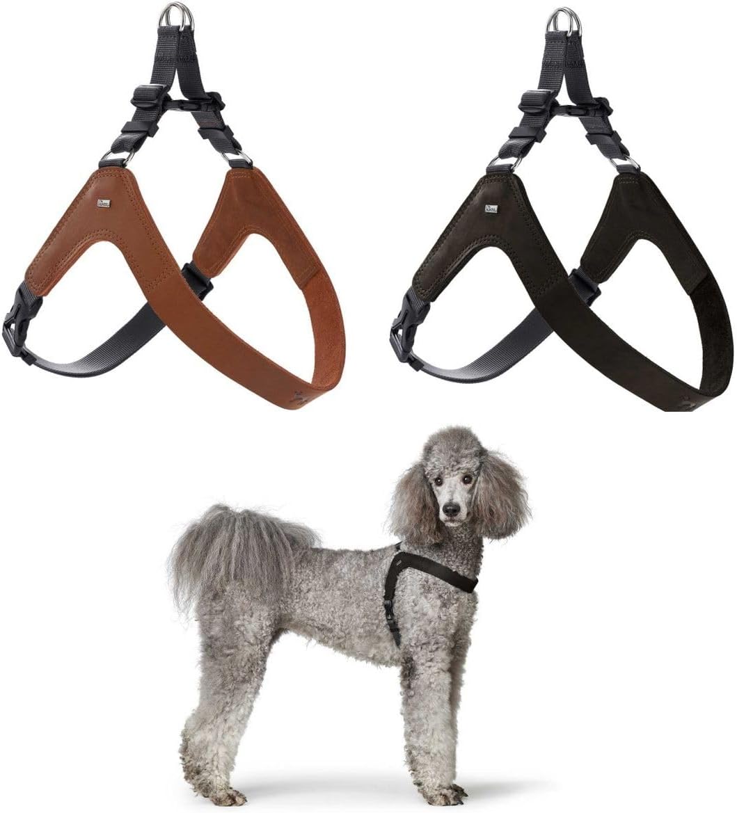 Hunter Hundegeschirr DIMARO, Farbe: schwarz, weiches & Robustes Rindsleder, hervorragende Passform,