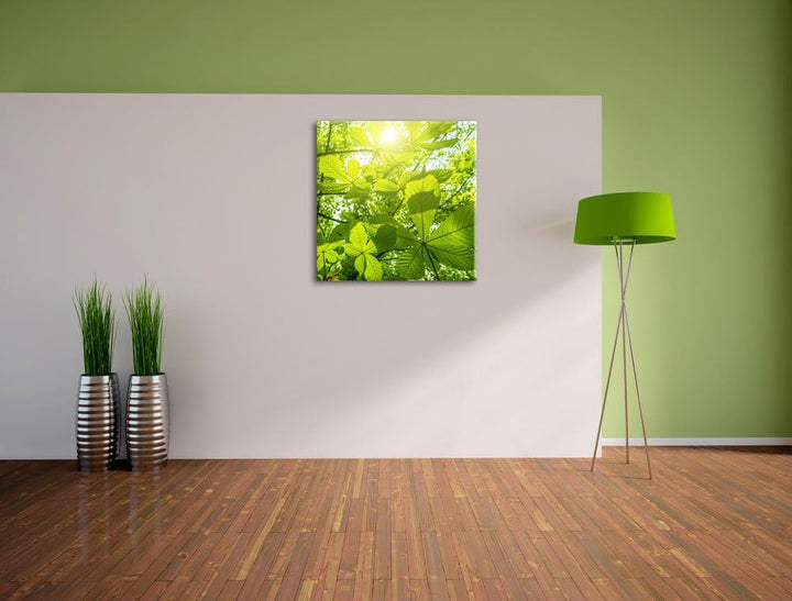 Pixxprint Grüne Blätter, Format: 70x70 auf Leinwand, XXL riesige Bilder fertig gerahmt mit Keilrahme