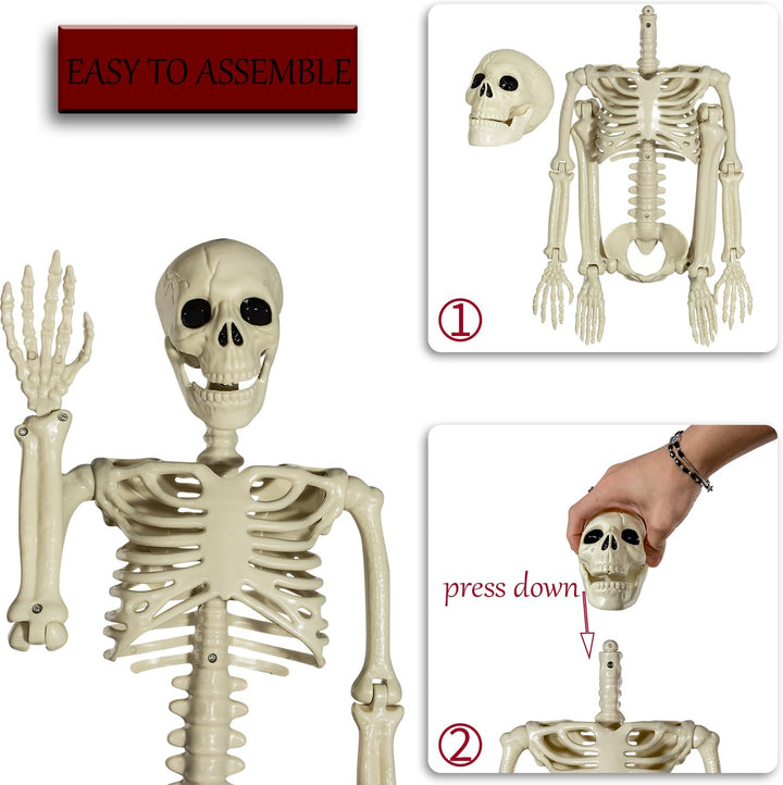 SIFOEL Halloween Plastikskelett, 90cm Ganzkörper Halloween Skelett mit beweglichen Gelenken für Hall