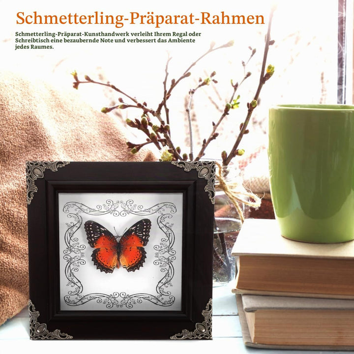 STOBAZA Retro Schmetterlingsrahmen für Wand Einzigartige Sammlung Präparierter Schmetterlinge DIY Vi