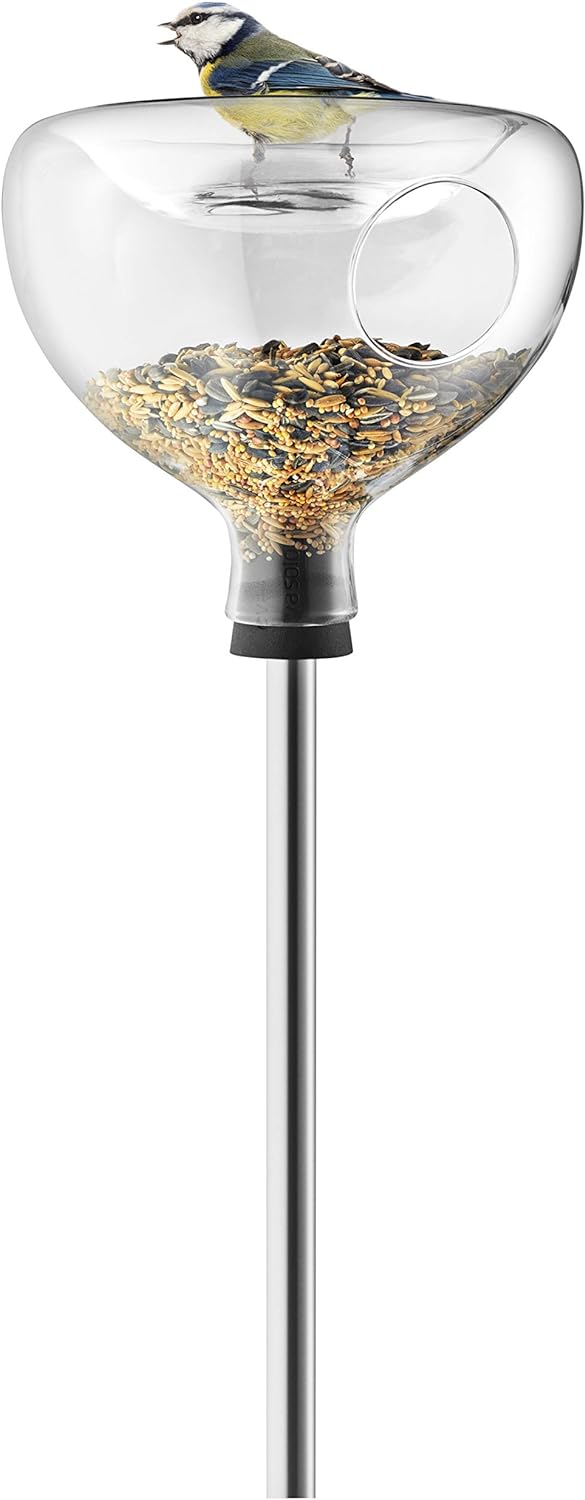 Eva Solo | Bird Bath and Feeder | Sculptural Design for the Garden | Glass, Silicone Rubber and Stai