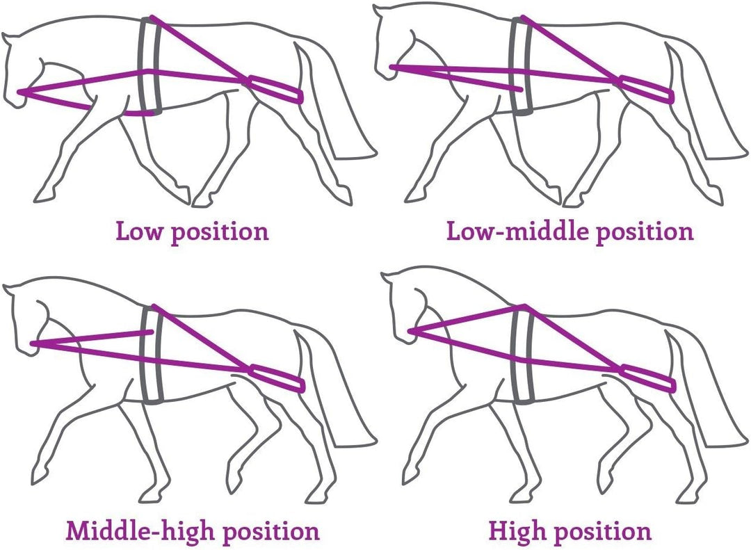 QHP Longier-Hilfszügel zur Förderung der Hinterhand, an verschiedenen Punkten verstellbar (Schwarz),
