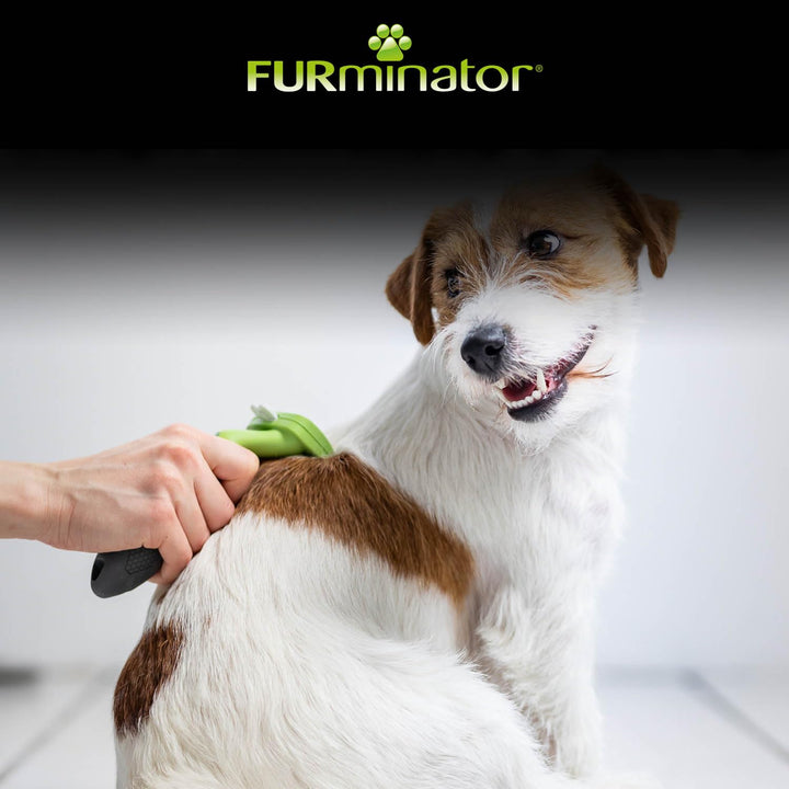FURminator deShedding-Tool Hund Grösse S Kurzhaar - Hundebürste für kleine Hunde zur Entfernung der